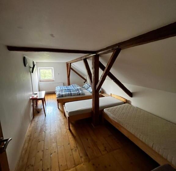 חדר סופריור לארבעה, Penzion Za Potokem