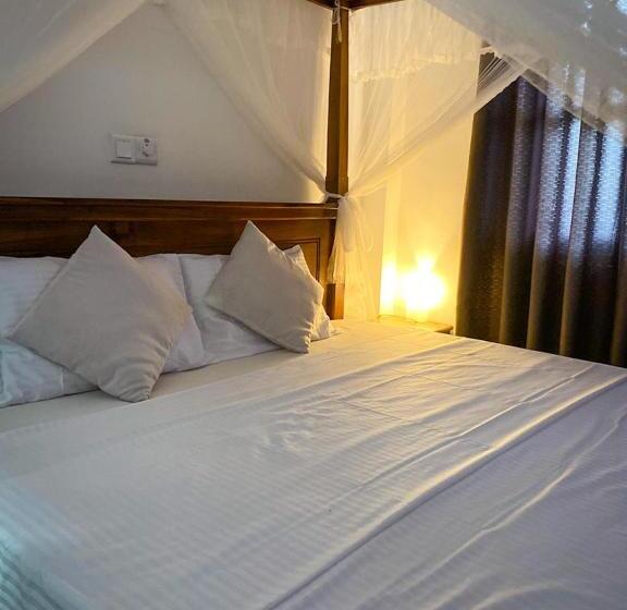 Standard Room, The Tide S Tale