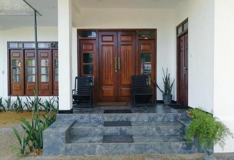 Standard Room, The Tide S Tale