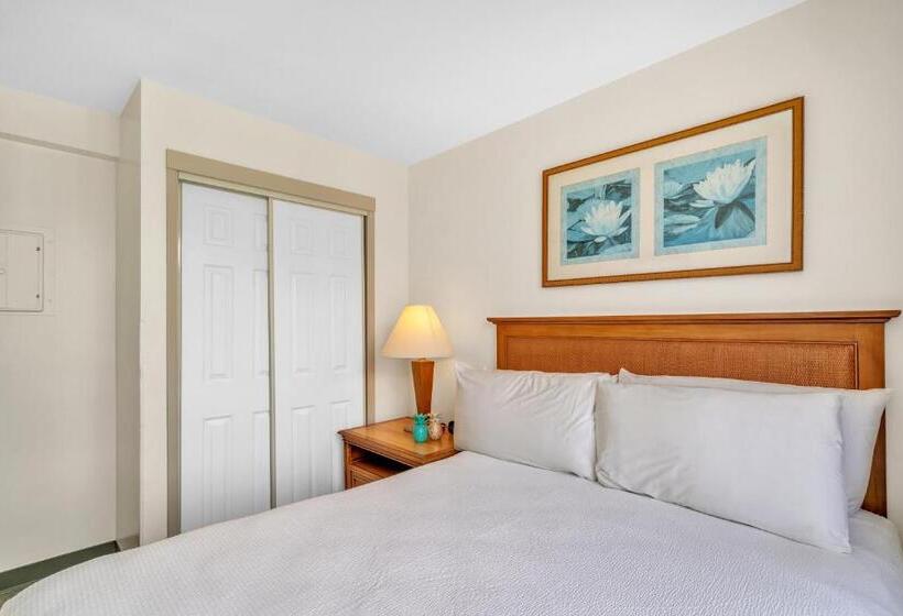 آپارتمان 2 خوابه, Spectacular Ocean & Diamond Head View 2 Bedroom Condo With Free Parking!