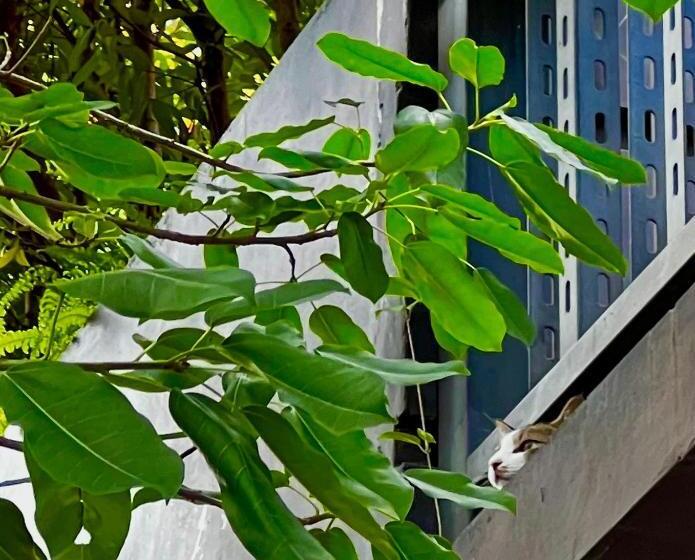 اتاق استاندارد, Sweethome37