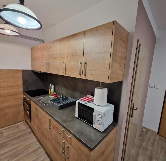 四人标准间, Apartmány Pod Klášterem