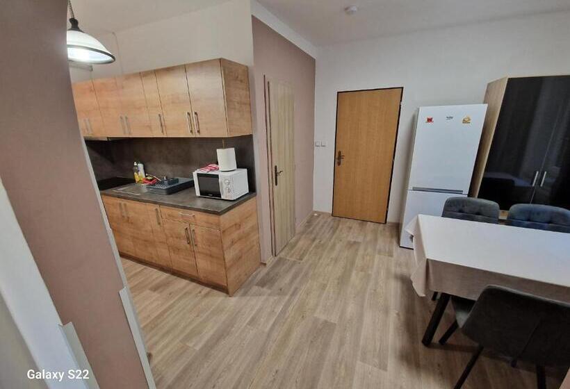 四人标准间, Apartmány Pod Klášterem