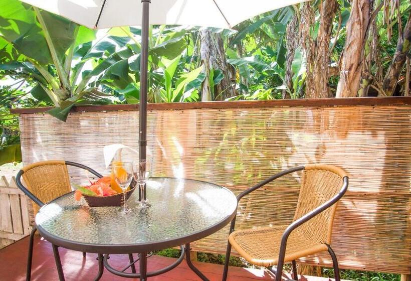 庭の見える１ベッドルームアパートメント, Ngahu Bungalows Alojamiento Frente Al Mar En El Centro De Rapa Nui