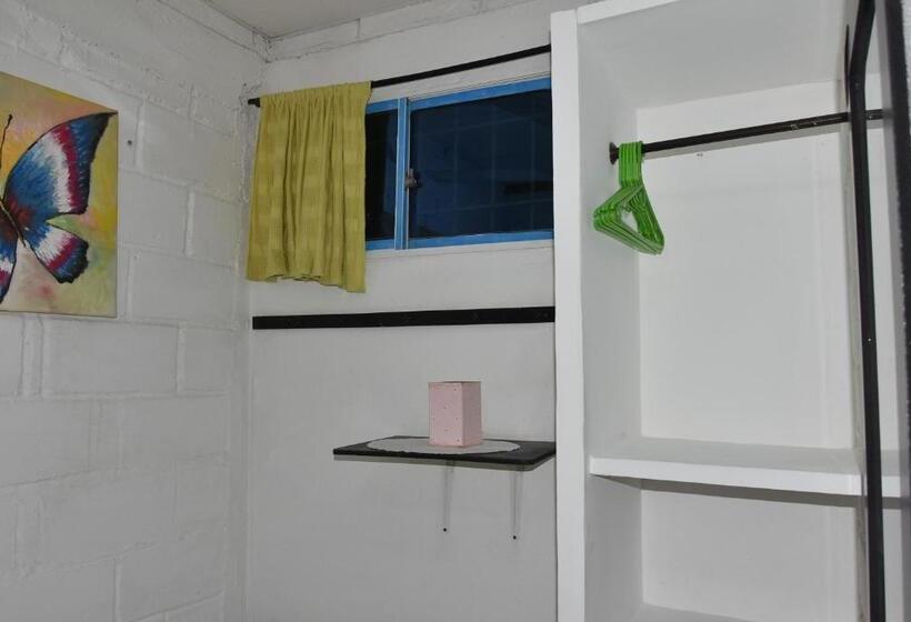 スタンダードシングルルーム, Casa Universitaria El Trebol