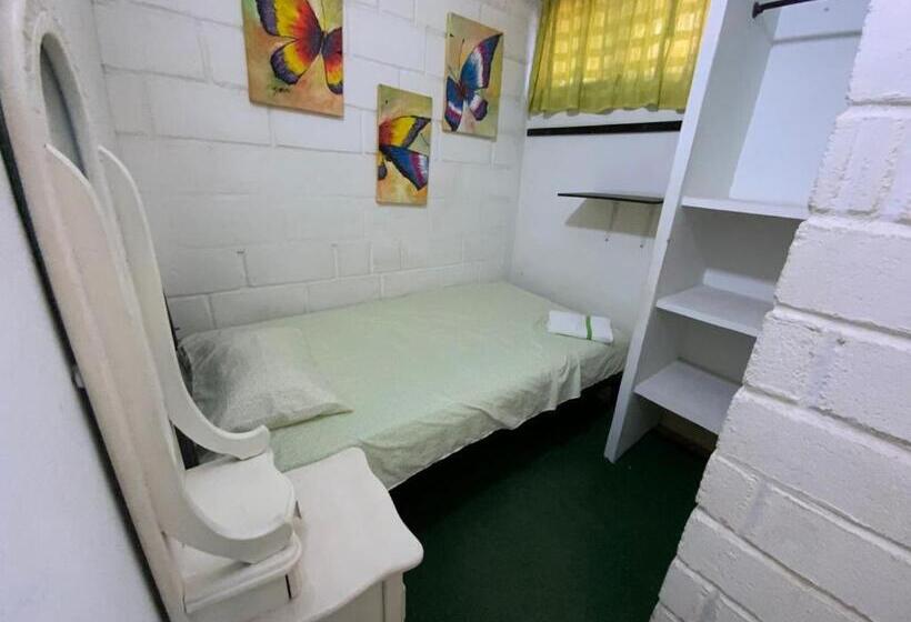 标准单人间, Casa Universitaria El Trebol