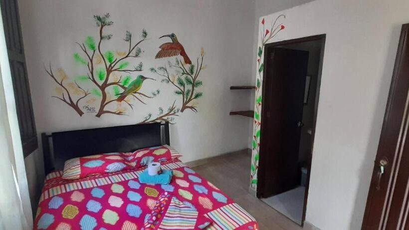 스탠다드 룸, Hostel Villa Silvia