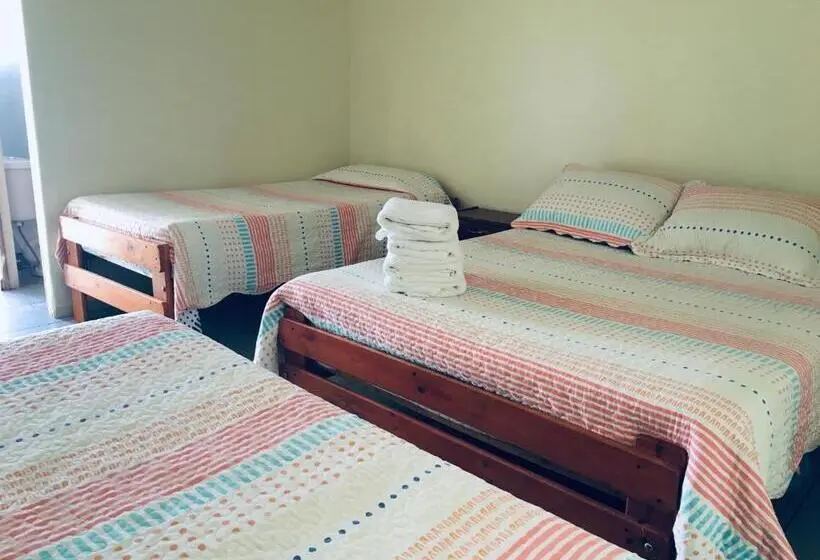 اتاق استاندارد چهار تخته, Hostal Amunategui