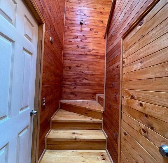 استودیو خانوادگی, Cabañas Newen