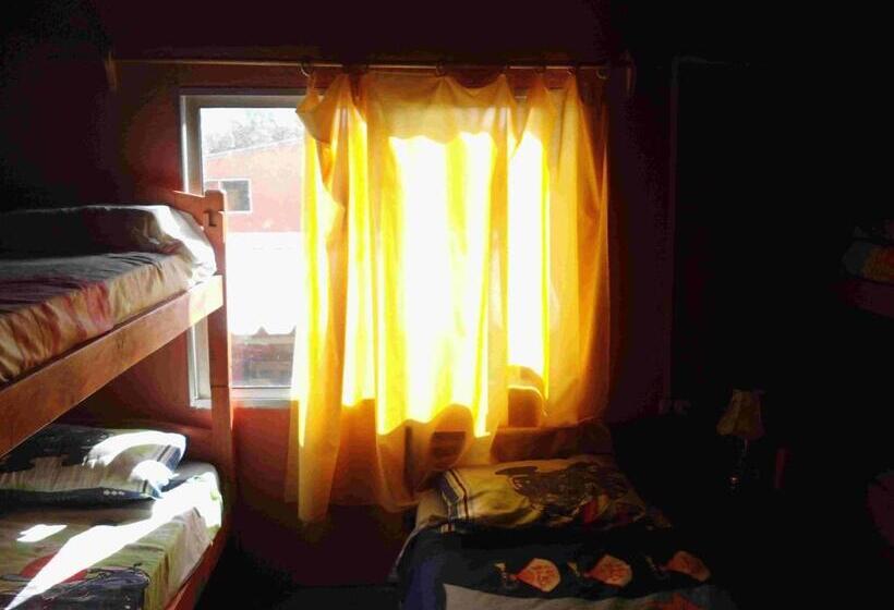 共用房间的床, Hostel Lo De Milton