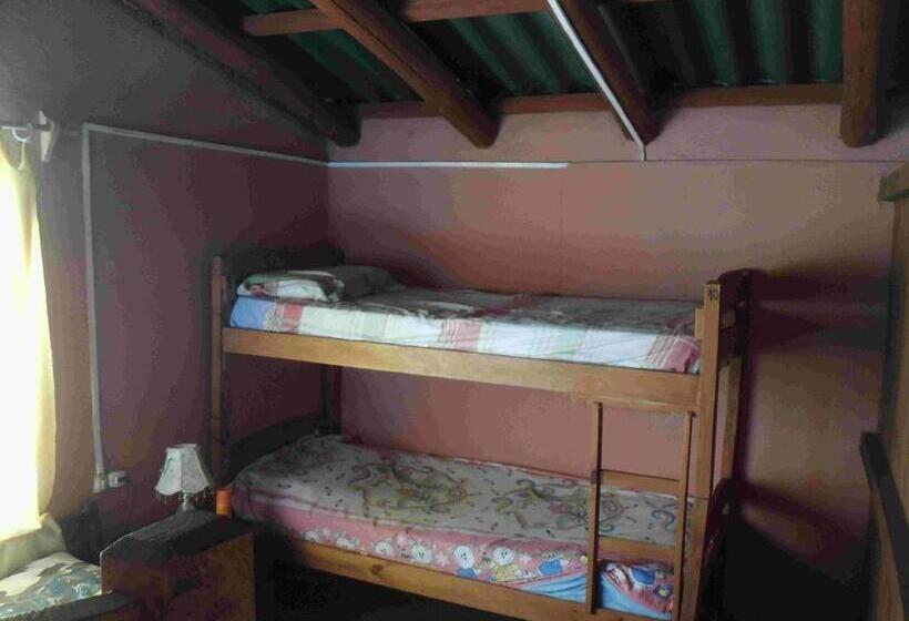 공동 객실, Hostel Lo De Milton