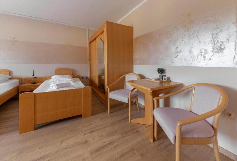 اتاق استاندارد سه تخته با بالکن, Burger Veniše