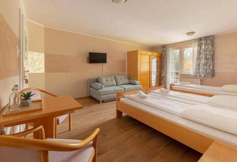 اتاق استاندارد چهارنفره با بالکن, Burger Veniše