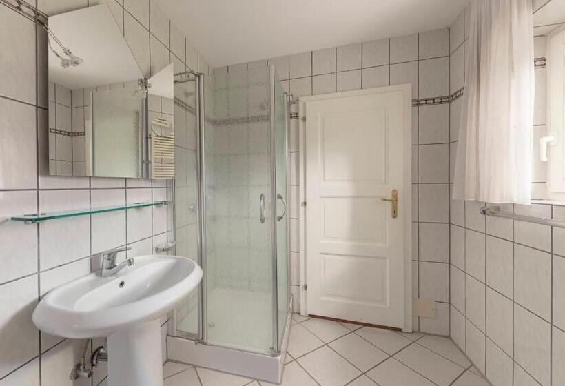 اتاق استاندارد با چشمانداز کوهستان, Burger Veniše