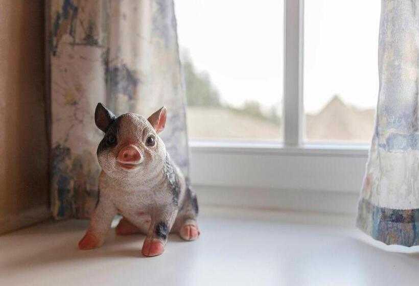 اتاق استاندارد با چشمانداز کوهستان, Burger Veniše