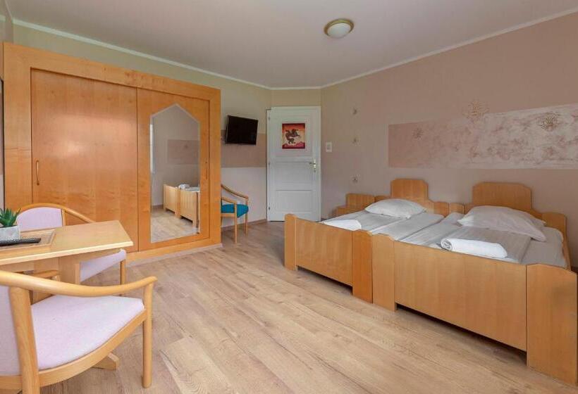 اتاق استاندارد با چشمانداز کوهستان, Burger Veniše