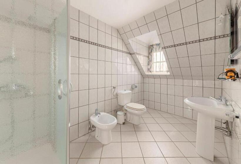 اتاق استاندارد سه نفره, Burger Veniše