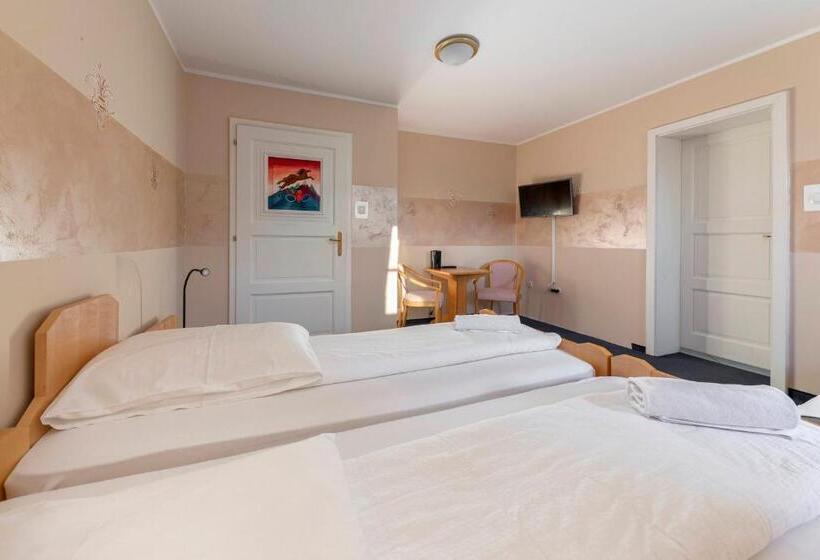 اتاق استاندارد سه نفره, Burger Veniše