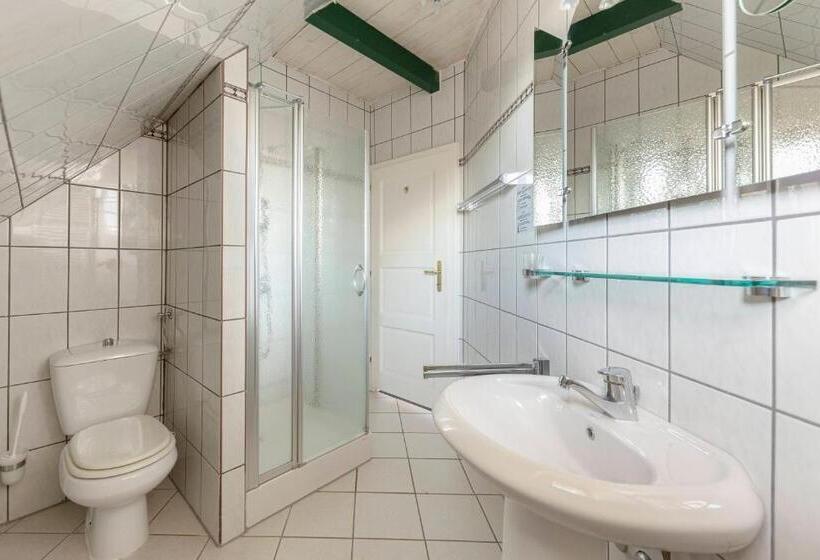 اتاق لوکس با بالکن, Burger Veniše