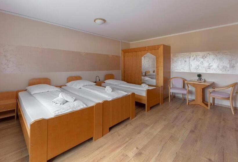 اتاق استاندارد سه تخته با بالکن, Burger Veniše