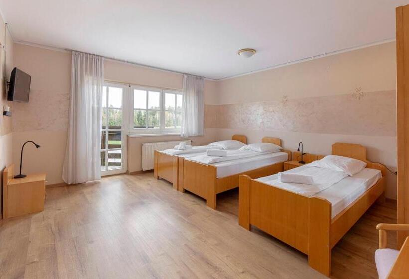 اتاق استاندارد سه تخته با بالکن, Burger Veniše