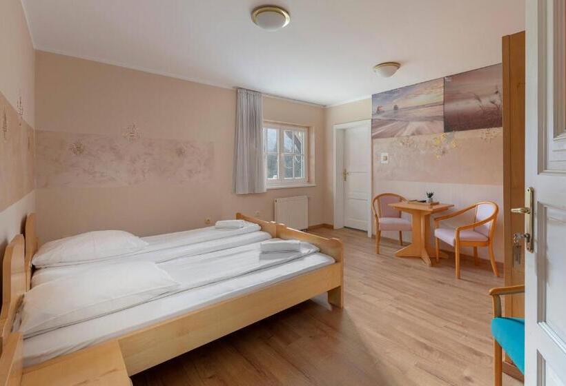 اتاق استاندارد با چشمانداز کوهستان, Burger Veniše