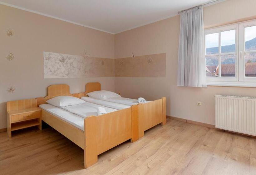 اتاق استاندارد با چشمانداز کوهستان, Burger Veniše