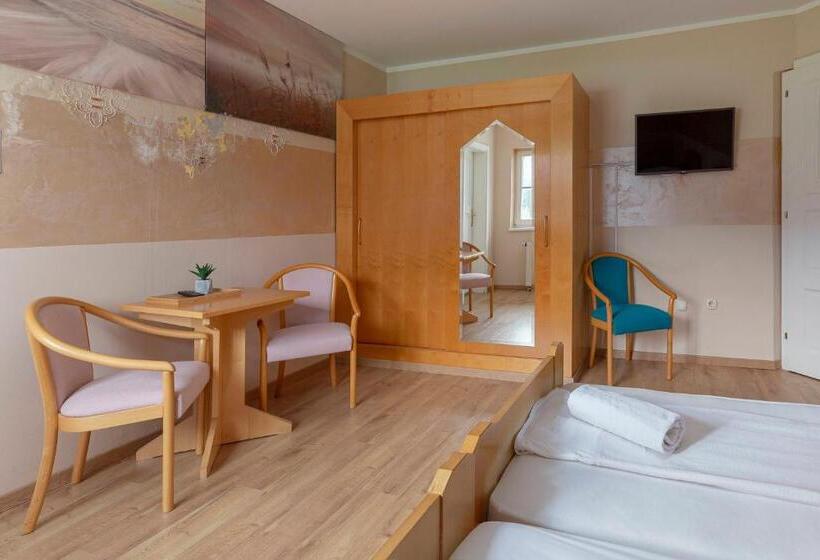 اتاق استاندارد با چشمانداز کوهستان, Burger Veniše