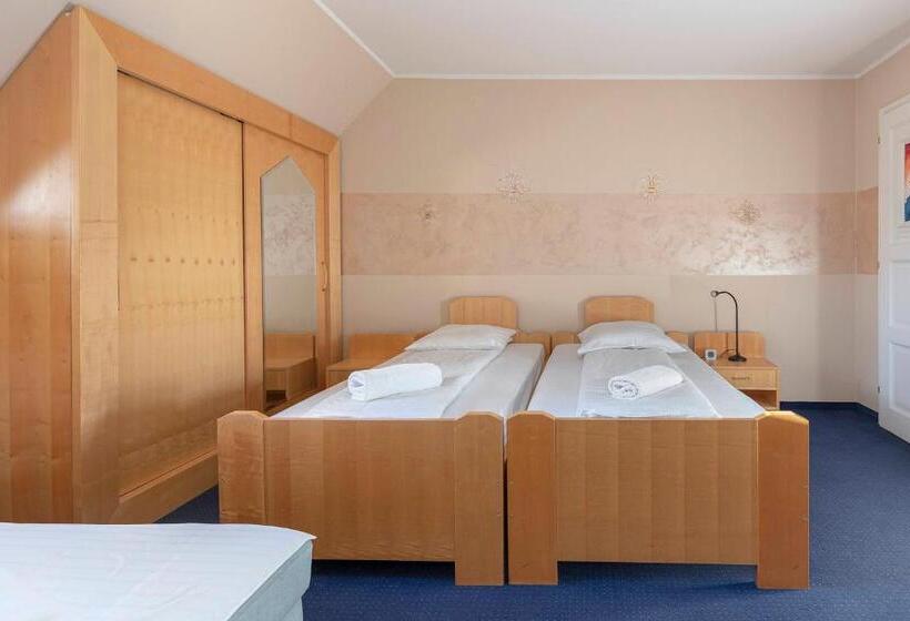 اتاق استاندارد سه نفره, Burger Veniše