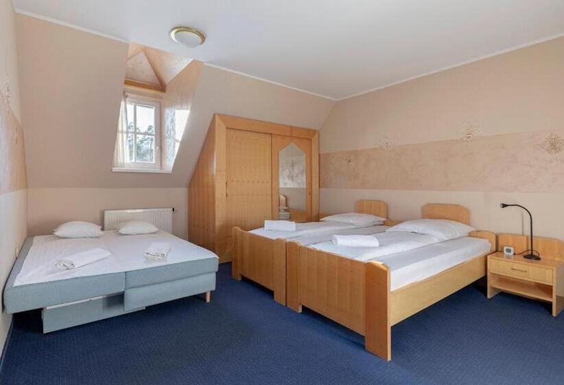 اتاق استاندارد سه نفره, Burger Veniše