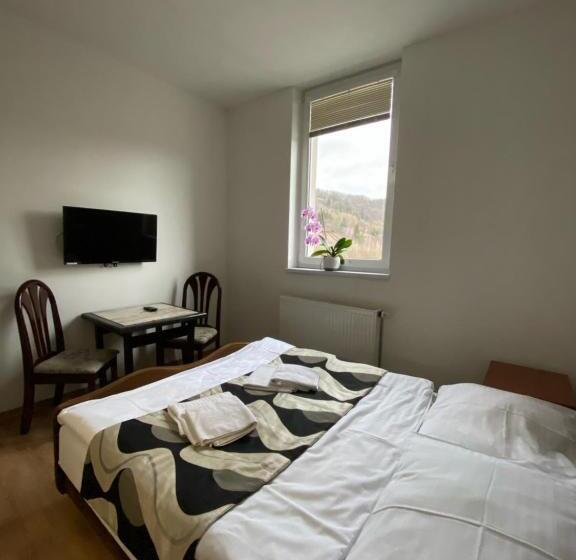 经济房, Guest House Penzión Fortuna