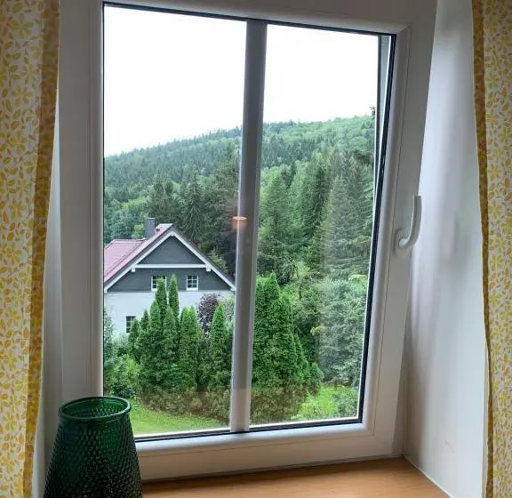 デラックスルーム, Penzion Zelené údolí