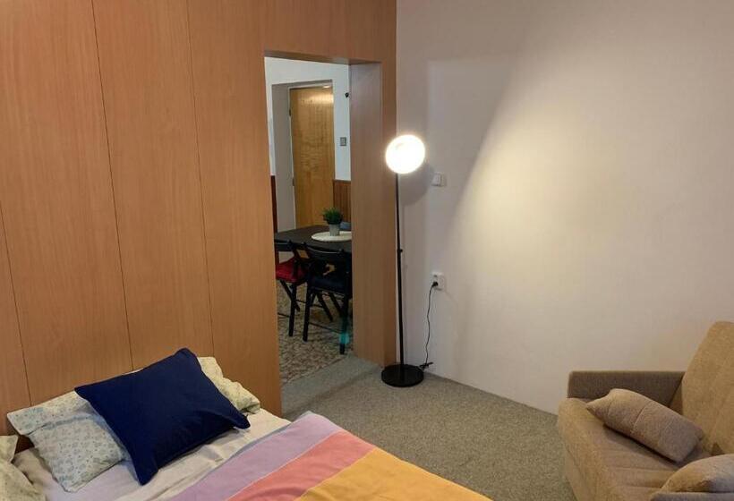 חדר סטנדרטי לארבעה עם חדר אמבטיה משותף, Penzion Zelené údolí