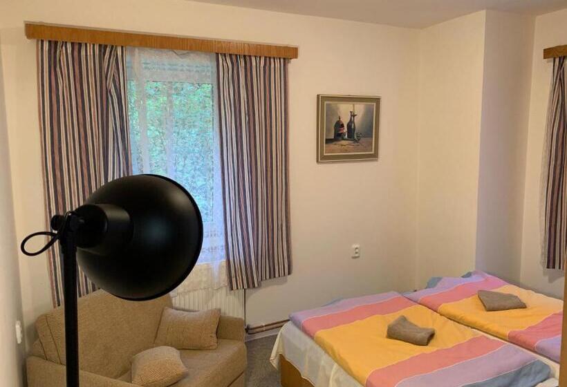 חדר סטנדרטי לארבעה עם חדר אמבטיה משותף, Penzion Zelené údolí