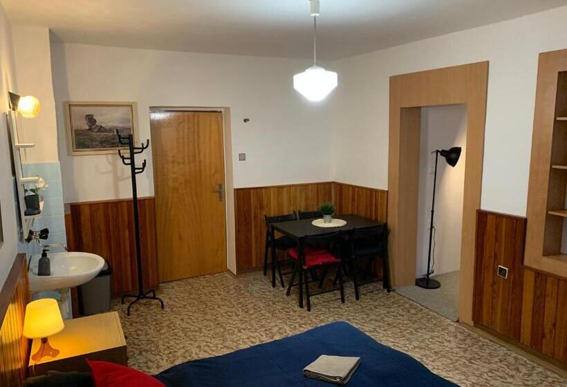 חדר סטנדרטי לארבעה עם חדר אמבטיה משותף, Penzion Zelené údolí