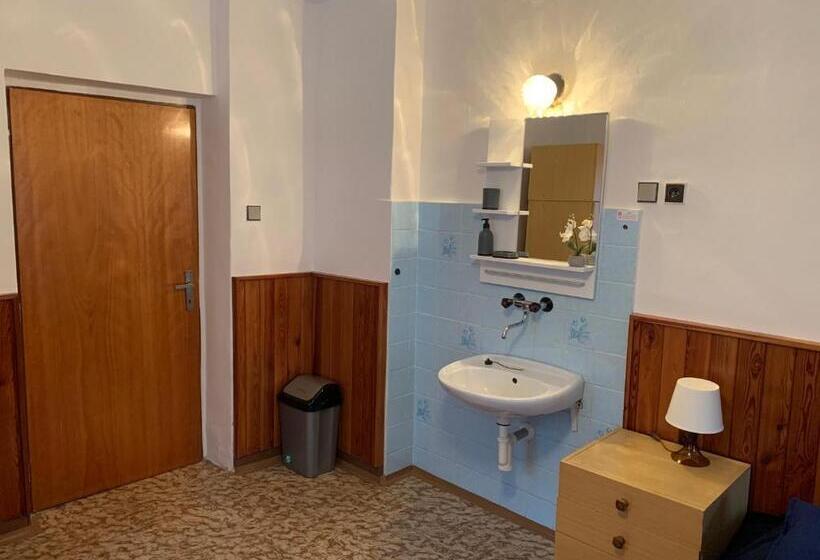 חדר סטנדרט חדר אמבטיה משותף, Penzion Zelené údolí