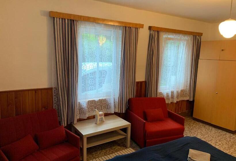 חדר סטנדרט חדר אמבטיה משותף, Penzion Zelené údolí