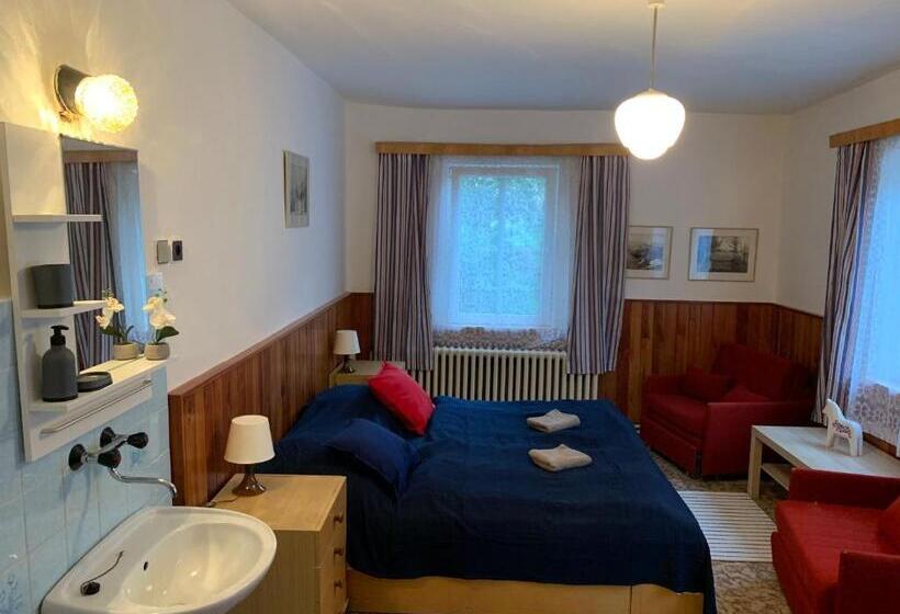 חדר סטנדרט חדר אמבטיה משותף, Penzion Zelené údolí