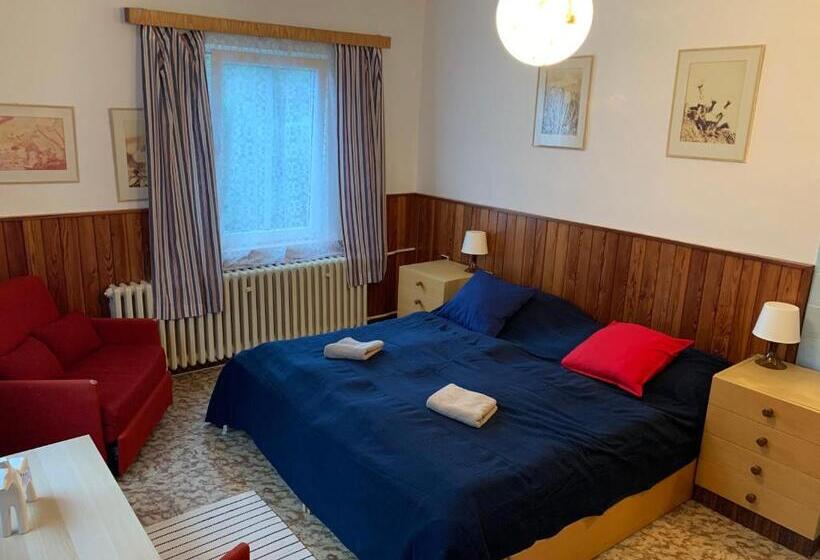 带共用浴室的标准房间, Penzion Zelené údolí