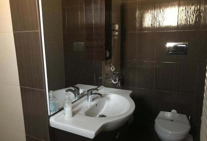 스탠다드 룸 킹사이즈 침대, Pensiunea Domnika