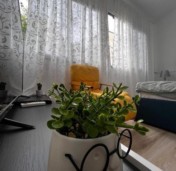 标准间, Budget Retreat Tirana & Studios