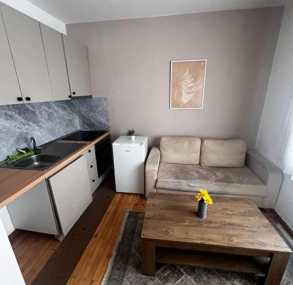 带1个卧室的豪华公寓, Budget Retreat Tirana & Studios