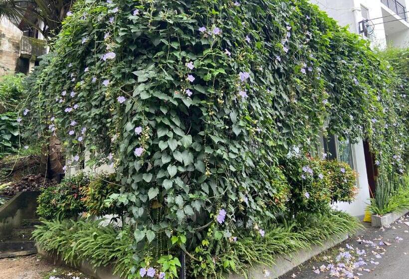 Chambre Deluxe King Size, Sesatha Lake Kandy