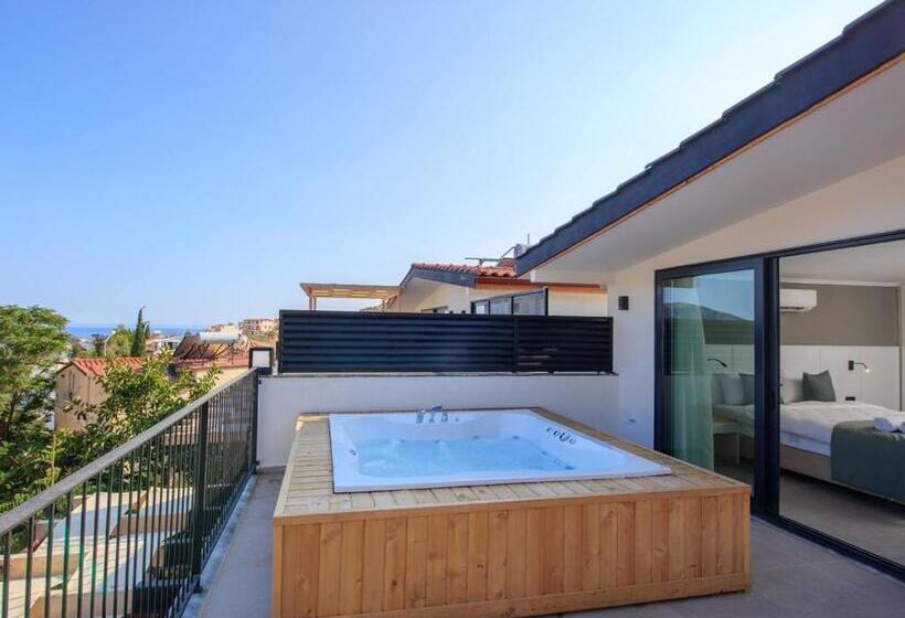 آپارتمان 1 خوابه با تراس, Asfiya Loft Apartments