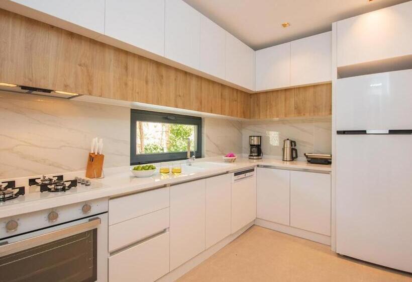 آپارتمان 1 خوابه با چشمانداز باغ, Asfiya Loft Apartments