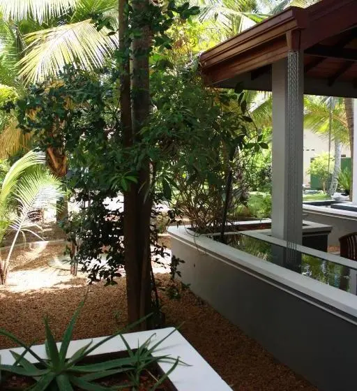 デラックスルーム, Aliya Lanka