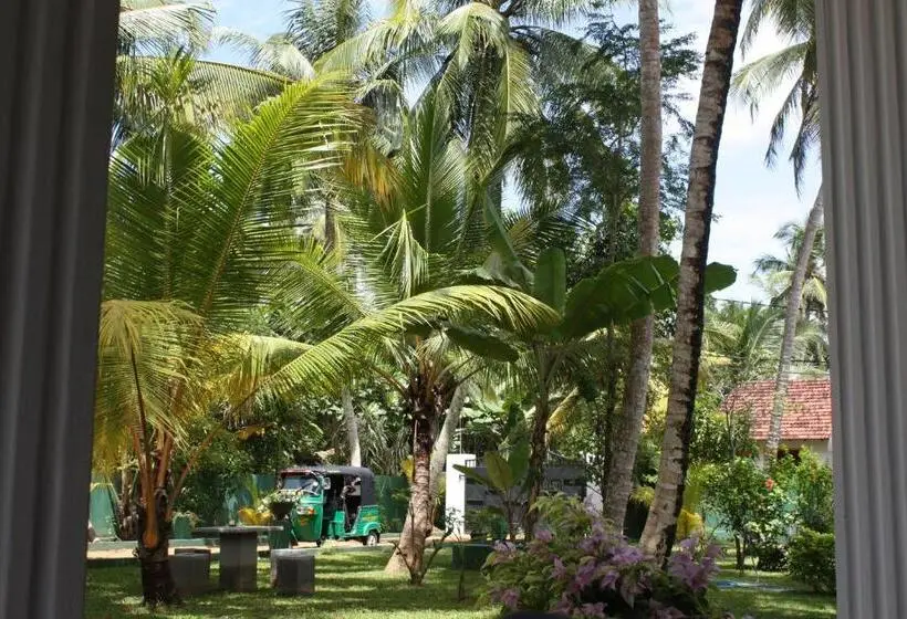 デラックスバンガロー, Aliya Lanka