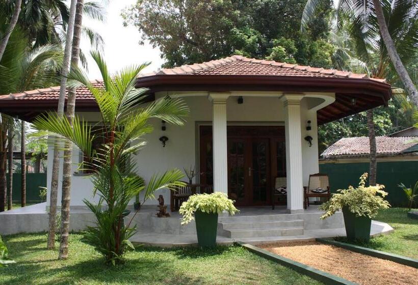 בקתה דלוקס, Aliya Lanka