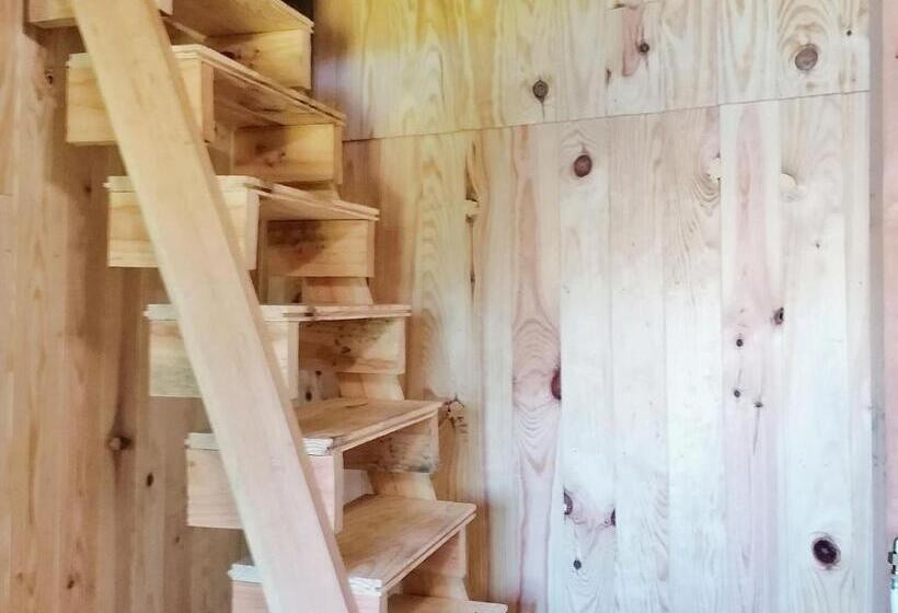 标准间, Cabane Perchée Avec Terrasses, Salle De Bain, Kitchenette, Petit Déjeuner Inclus Et Accès Piscine