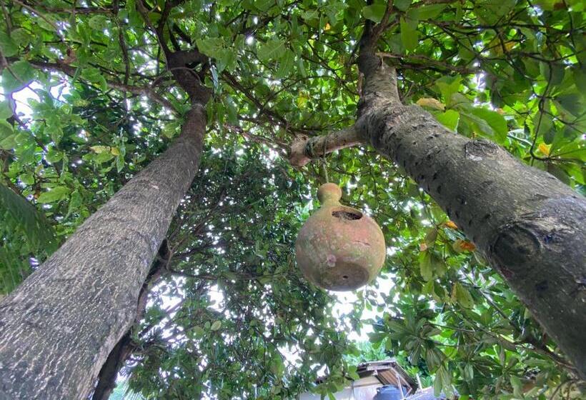 스탠다드 룸, Jasmine Beach House